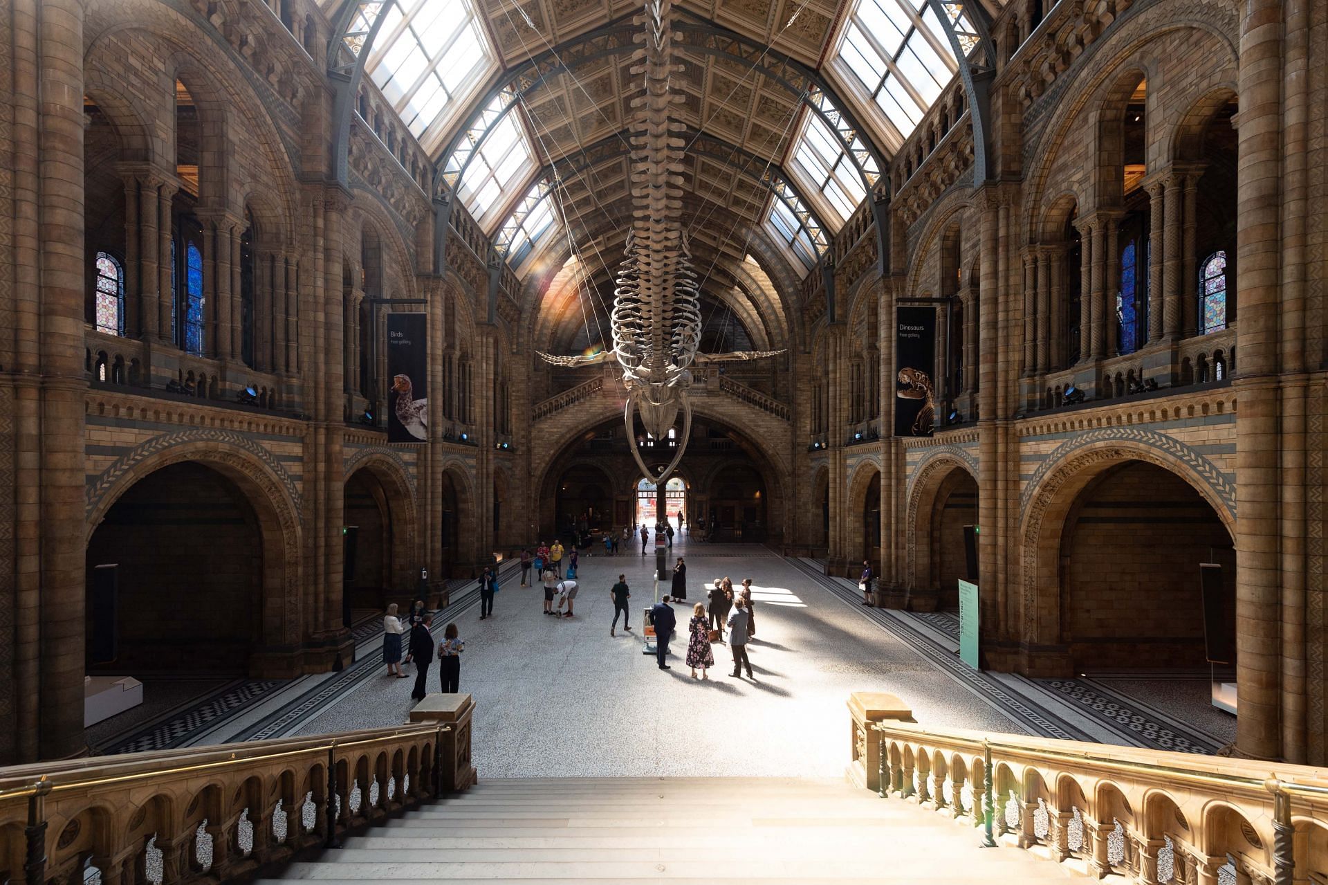 Members of the public enjoy the lobby exhibits during the reopening of the Natural History Museum on August 5, 2020 in London, England. (Photo by Ian Gavan/Getty Images)